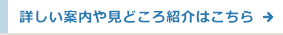 詳しい案内や見どころ紹介はこちら